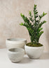 Meknes Fiber Cement Low Bowls, Rustic White Decor Jamali Garden