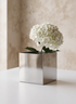 A white hydrangea with green leaves is arranged in a 5in Cube Polish Stainless Steel Vase, set on a white surface with a beige textured wall in the background.