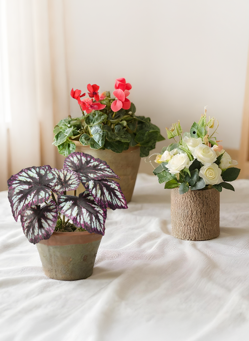 Fake Begonia Cathayana Artificial Plants for Display Staging Home