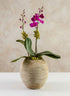 8in Tall Jaya Teak Fishbowl Wood Vase Decor Jamali Garden
