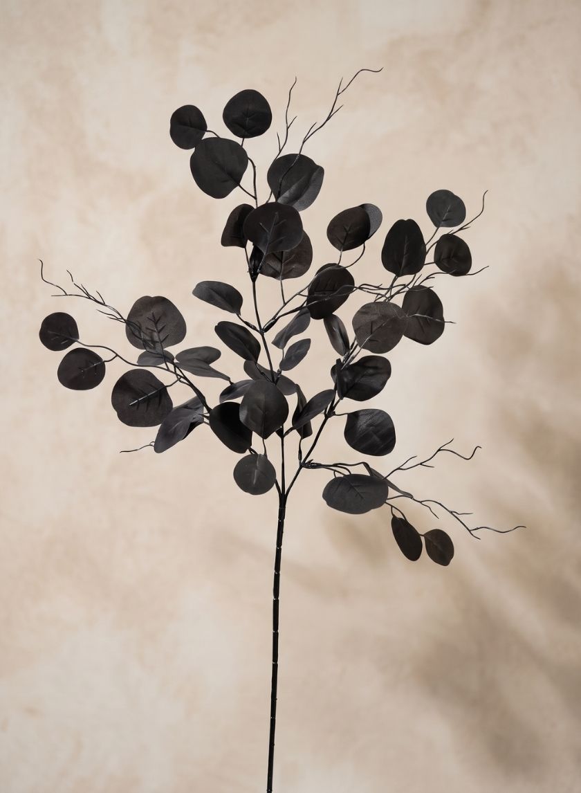 30in Long Black Eucalyptus Pick Decor Jamali Garden