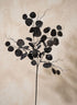 30in Long Black Eucalyptus Pick Decor Jamali Garden