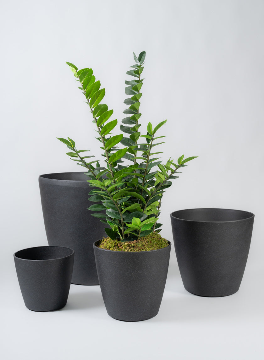 indoor plants for tall planters Milano Black Real Look PVC Planter – Jamali Garden