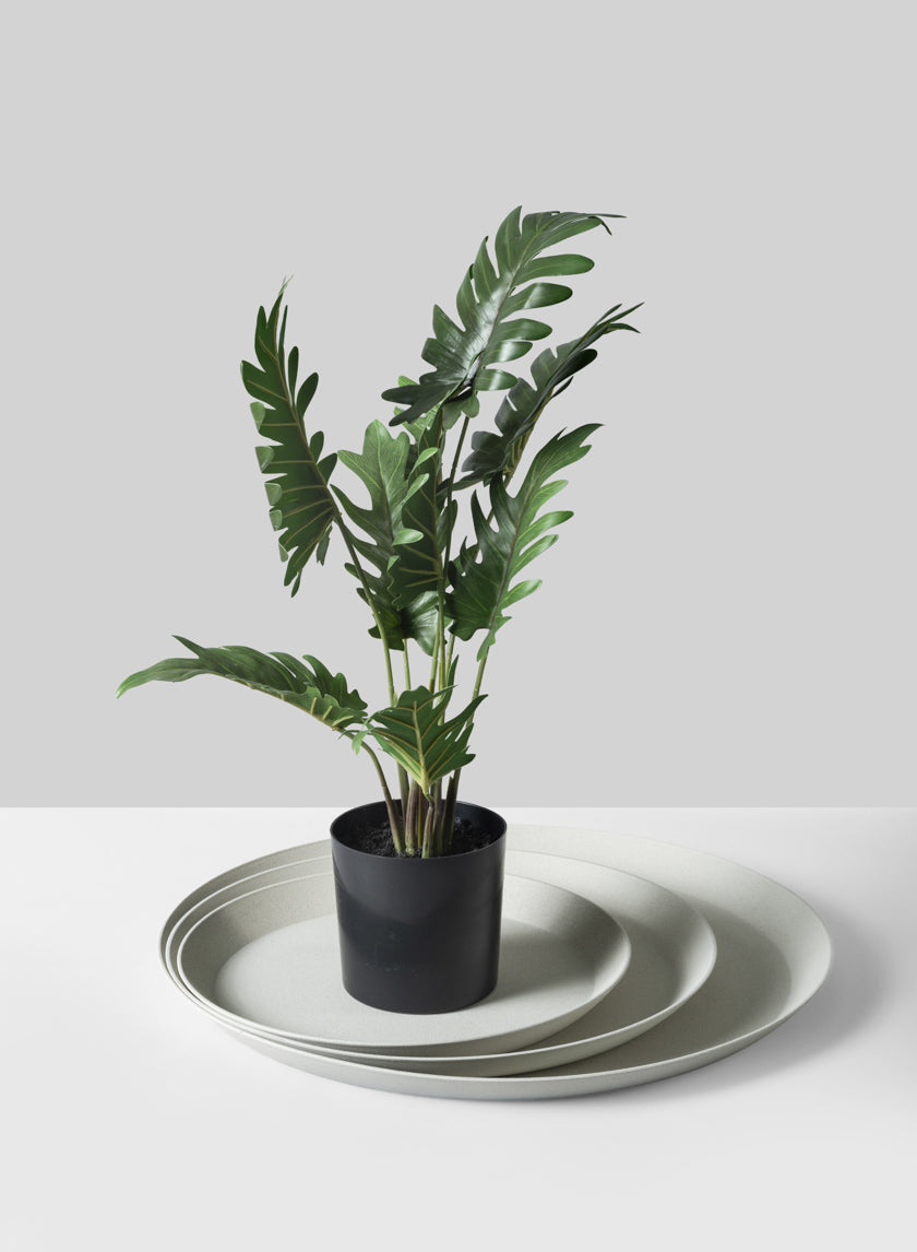 White Plastic Saucer Decor Jamali Garden