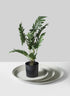 White Plastic Saucer Decor Jamali Garden