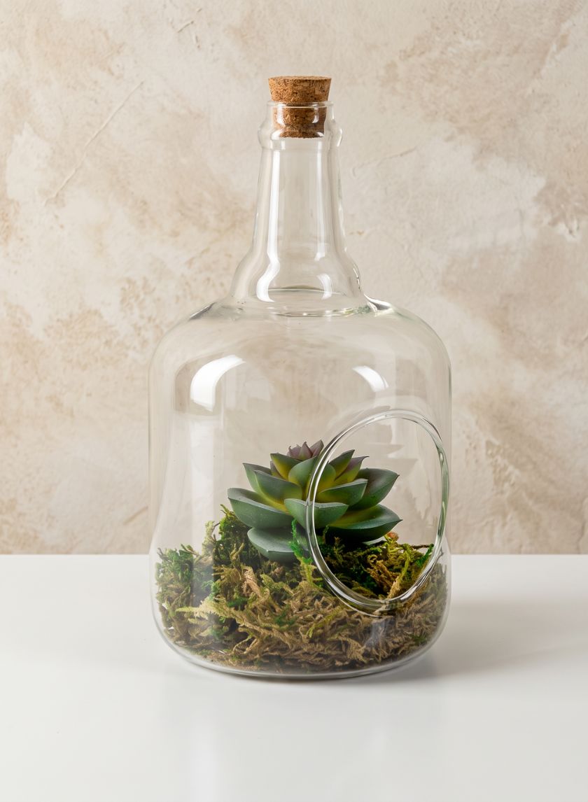 7.5in Tall Rio Bottle Glass Terrarium, Small Decor Jamali Garden