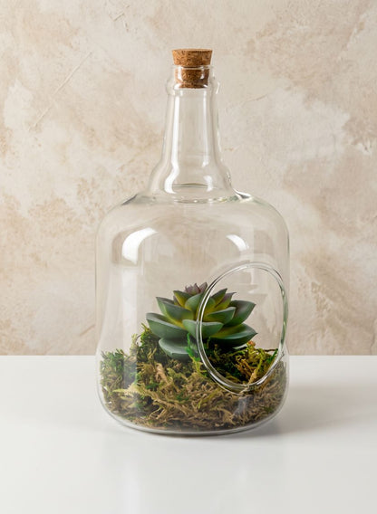 7.5in Tall Rio Bottle Glass Terrarium, Small Decor Jamali Garden