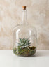 10.75in Tall Rio Bottle Glass Terrarium, Large Decor Jamali Garden