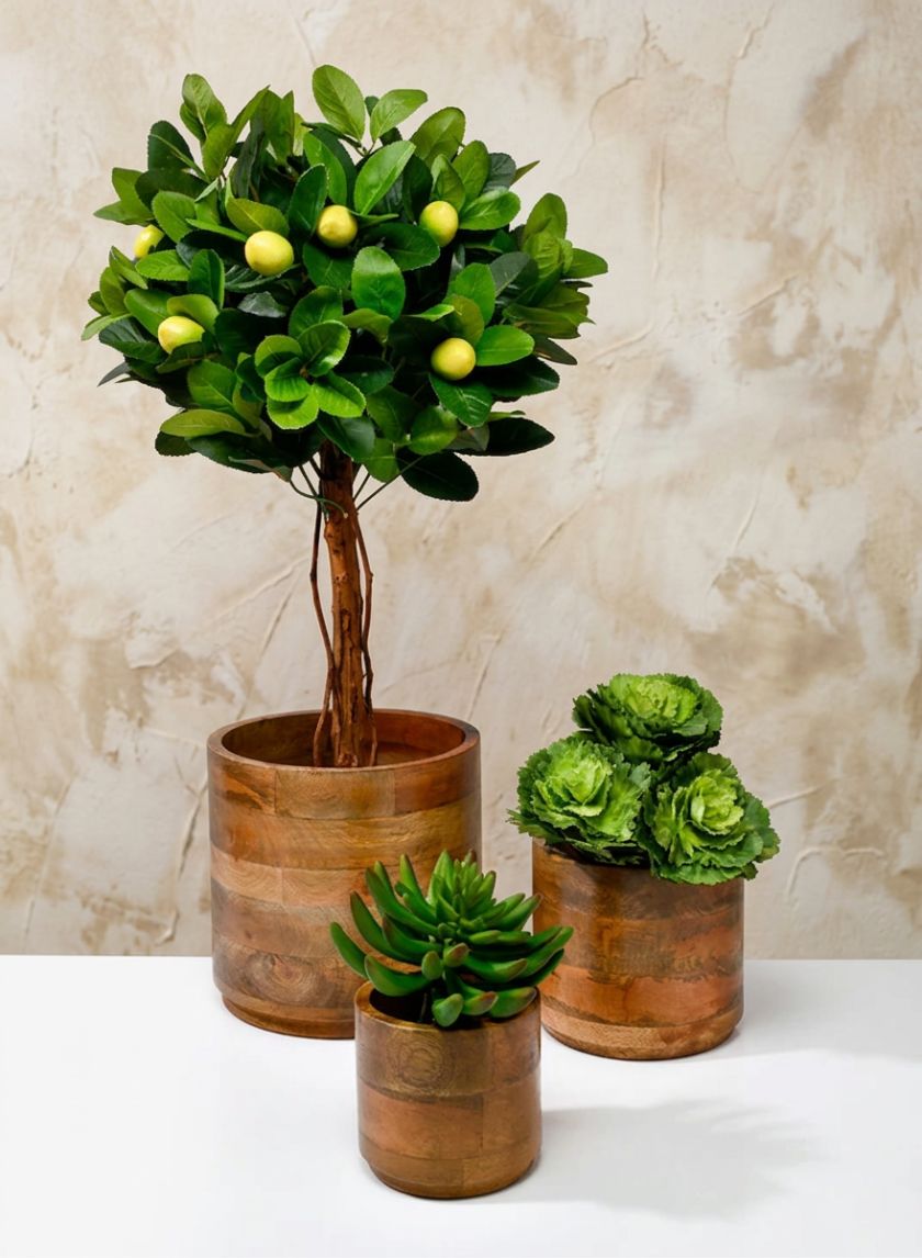 Salma Wood Cachepot