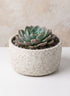 7.5in Dia x 4in H Boheme Antiqued Low Cylinder