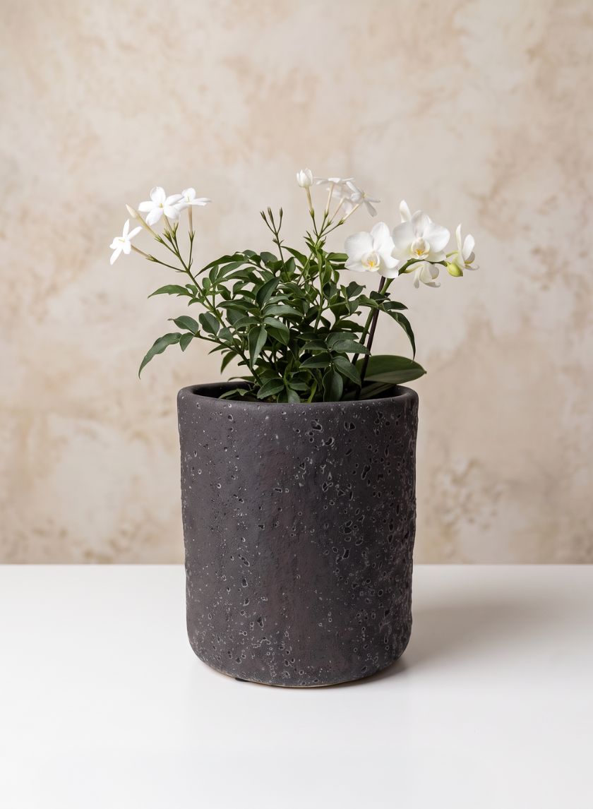 7in Tall Boheme Black Lava Ceramic Cylinder Pot, Case of 6 Decor Jamali Garden