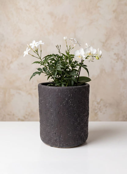 6in Dia x 7in H Boheme Black Lava Tall Cylinder