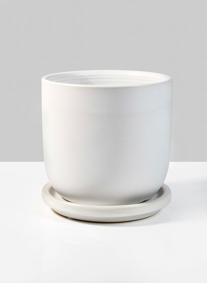 Marble Aeon Ceramic Pot &amp; Saucer Decor Jamali Garden