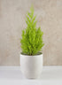 7in Tall Santorini Sand White Ceramic Cachepot Decor Jamali Garden