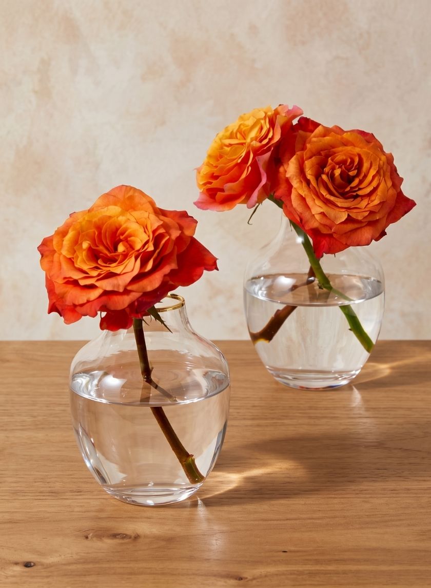 5in Tall Gold Rim Belly Glass Vase, Small Mouth Decor Jamali Garden