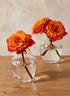 5in Tall Gold Rim Belly Glass Vase, Small Mouth Decor Jamali Garden