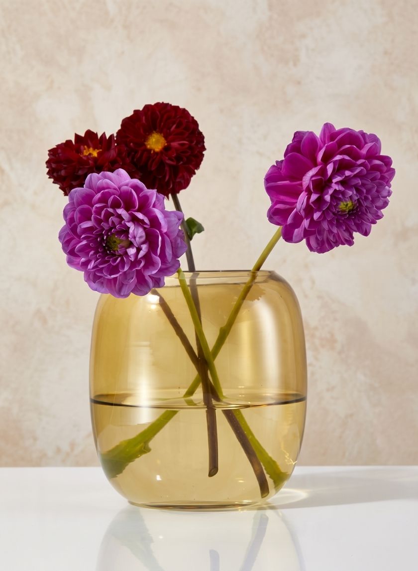5in Dark Amber Capsule Glass Vase Decor Jamali Garden