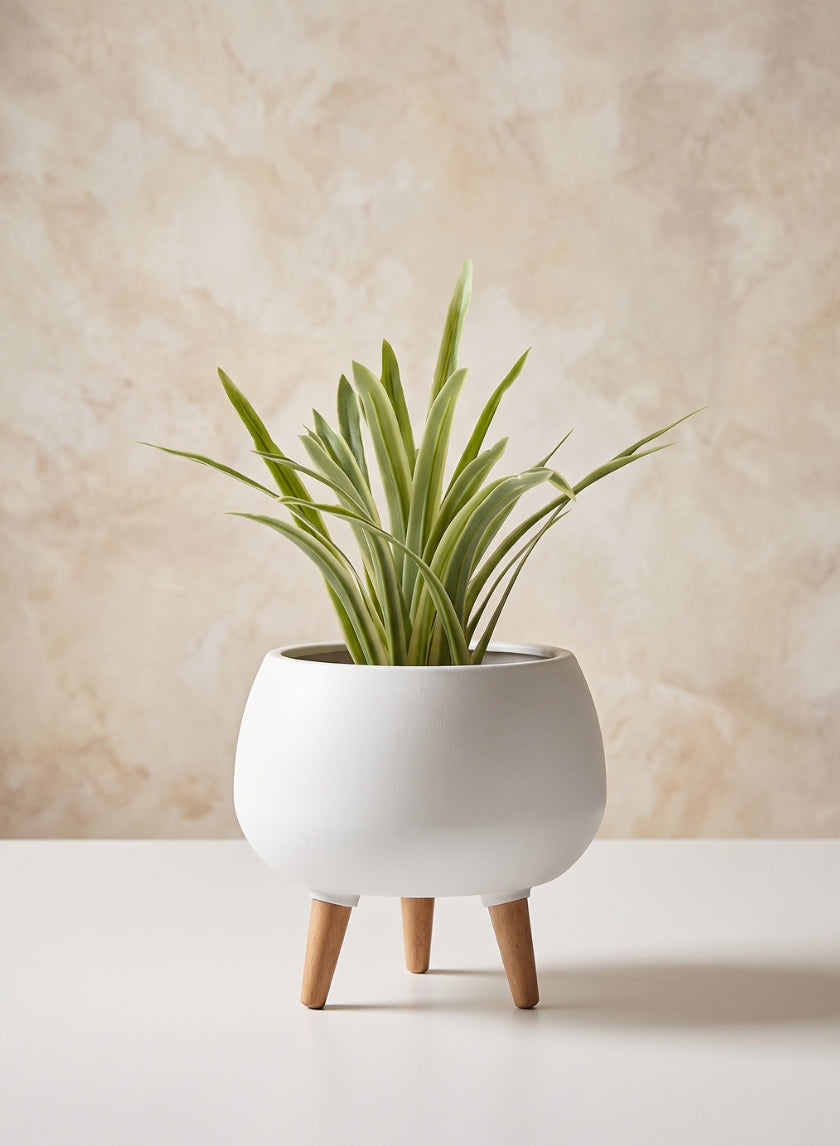 9.5in Tall Breakers Matte White Ceramic Planter With Wood Legs