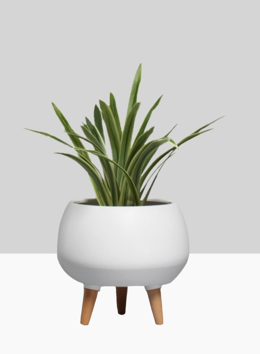 planter legs indoor 9.5in Tall Breakers Matte White Ceramic Planter With Wood Legs – Jamali Garden