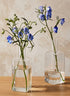 6in Tall Square Bottle Bud Glass Vase, Set of 2 Decor Jamali Garden