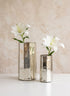Behram Old Silver Mercury Vase Decor Jamali Garden