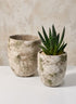 Sturgeon Moon Aged Cement Planter Decor Jamali Garden