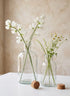 Glass Bottle With Cork Decor Jamali Garden