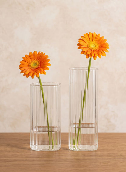 Vendome Rounded Square Ribbed Glass Vase
