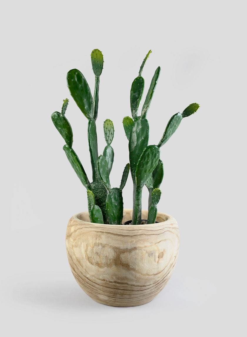 artificial prickly pear cactus Artificial 34in Angel Wing Cactus Plant
