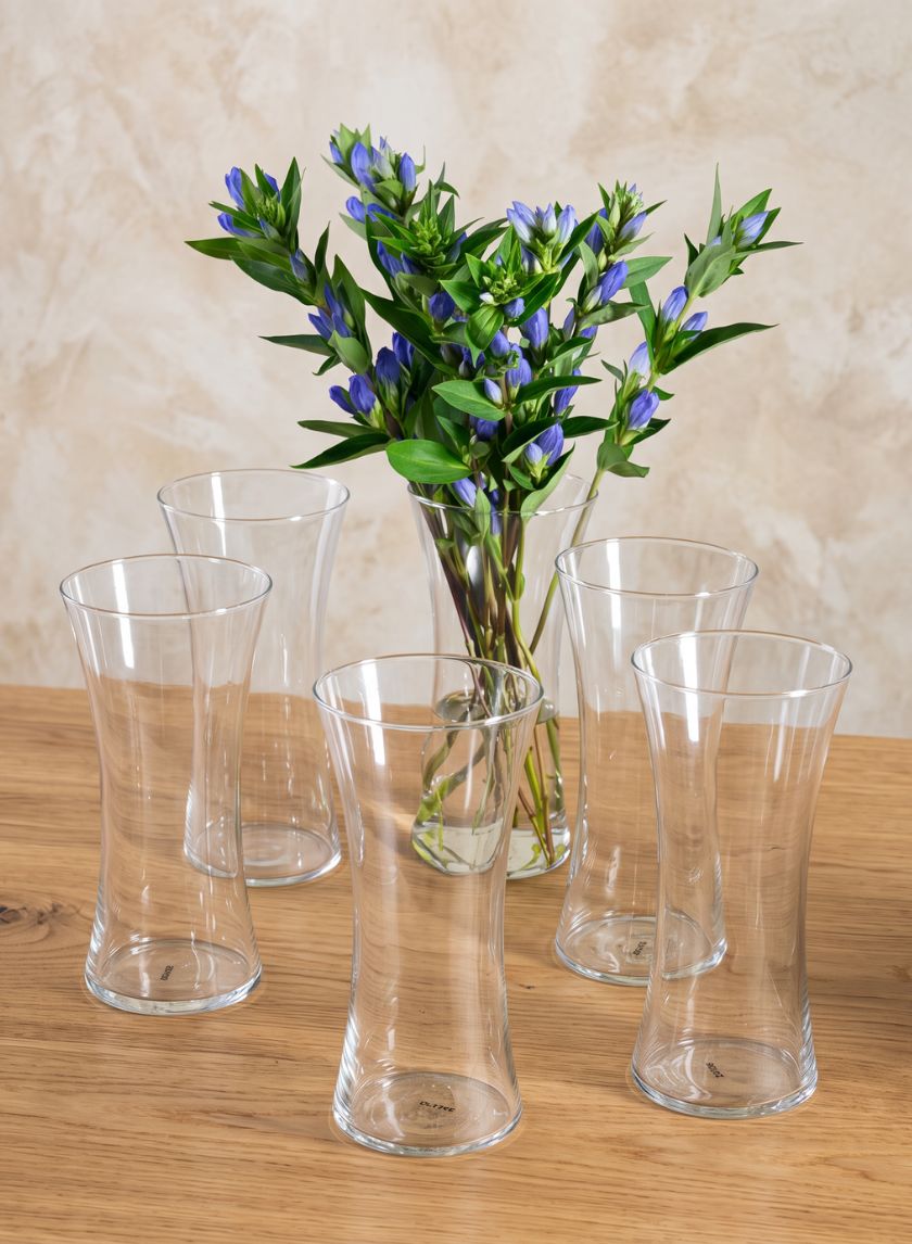 10in Tall Best Value Florist All Purpose Glass Vase, Set of 6