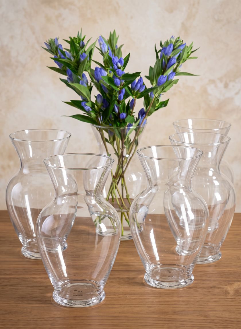 Best Value Ginger Glass Vase, Set of 6 Decor Jamali Garden
