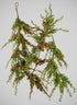 72in Long Pine With Red Mini Berry Garland Decor Jamali Garden