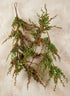 72in Long Pine With Red Mini Berry Garland Decor Jamali Garden