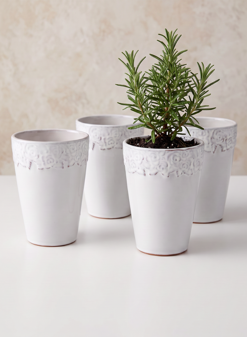 Set of four 6in Tall Aurelie Rose Border Cachepots are displayed on a light surface; one holds a small rosemary plant, while the remaining three are empty.