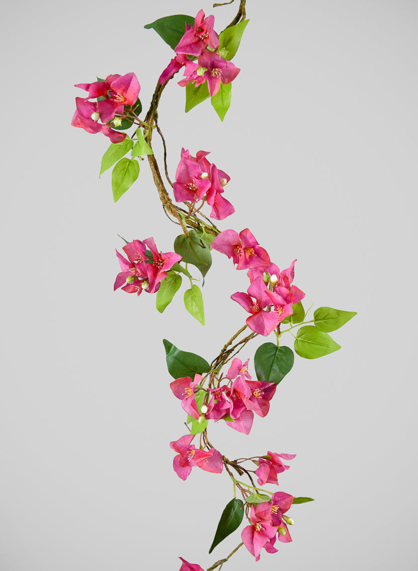 50in Long Fuchsia Bougainvillea Vine, Case of 6 Decor Jamali Garden