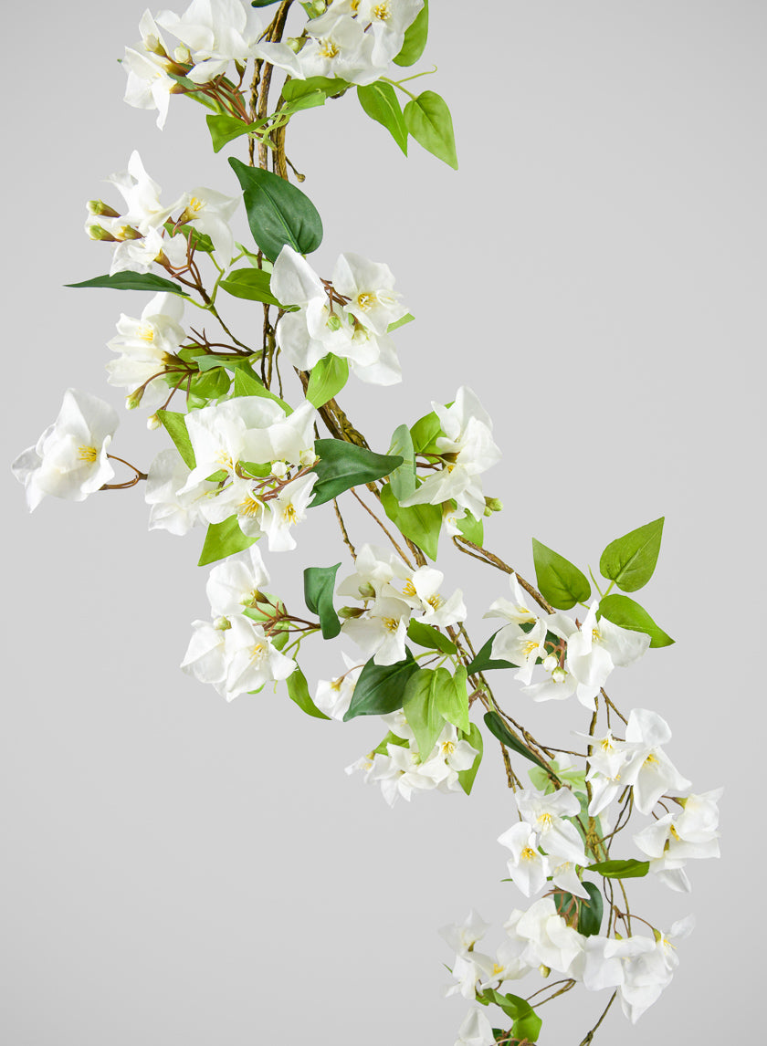 hanging white flower plant 50in Long White Bougainvillea Vine, Case of 6 – Jamali Garden