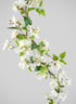 50in Long White Bougainvillea Vine, Case of 6 Decor Jamali Garden