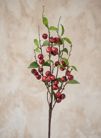 30in Long Red Cherry Branch, Case of 12 Decor Jamali Garden