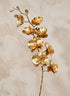44in Long Metallic Gold Phalaenopsis Orchid Stem, Case of 6 Decor Jamali Garden