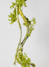 35in Long Mossy Vine Branch, Case of 6 Decor Jamali Garden