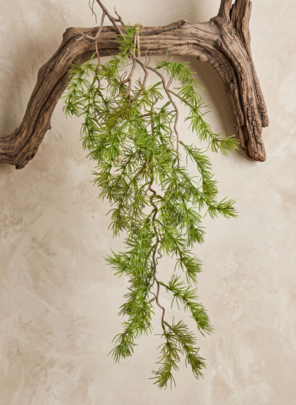 39in Long Larch Branch, Case of 12 Decor Jamali Garden