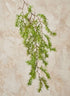 39in Long Larch Branch, Case of 12 Decor Jamali Garden