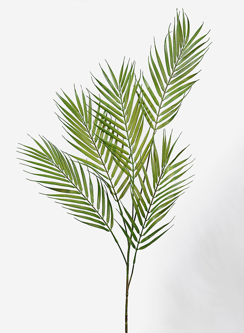 long leaf palm plant 46in Long Palm Leaf Spray, Case of 24