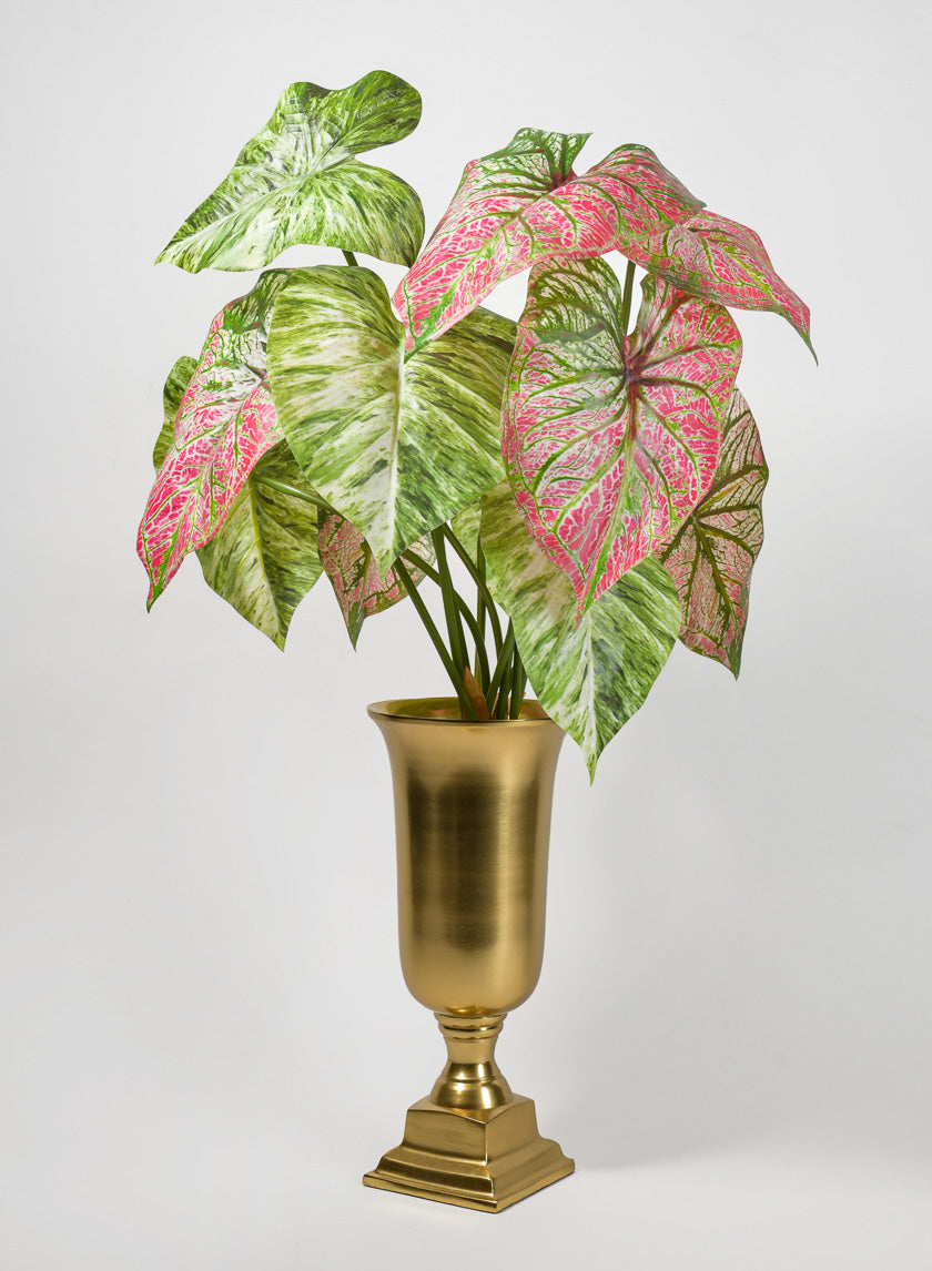 case of the potted planter 24in Long 5 Leaf Variegated Caladium Stem, Case of 12