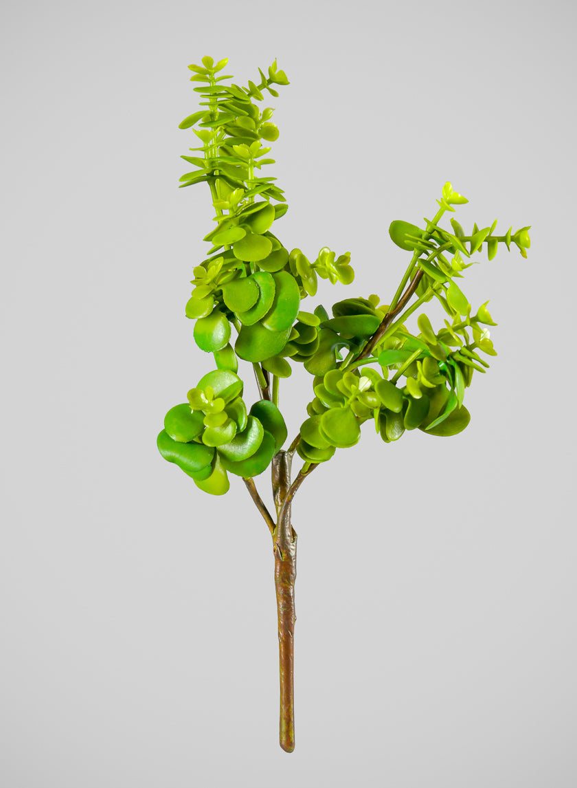 13in Long Jade Spray, Case of 12 Decor Jamali Garden