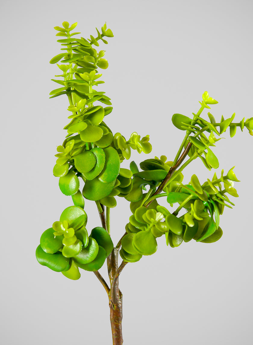 13in Long Jade Spray, Case of 12 Decor Jamali Garden