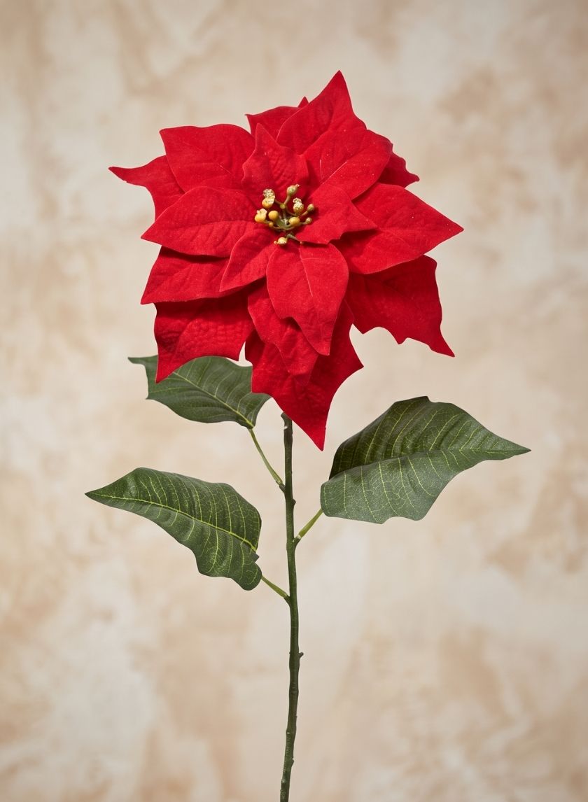 32in Long Red Poinsettia Stem, Case of 12 Decor Jamali Garden