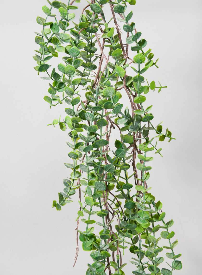 real eucalyptus hanging plant 55in Long Woody Eucalyptus Garland, Case of 6 – Jamali Garden