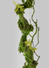 82in Long Mossy Vine, Case of 8 Decor Jamali Garden