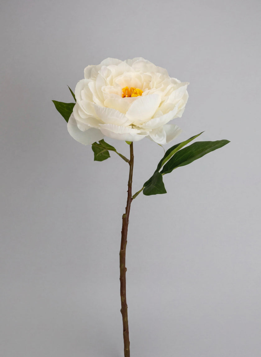18in Long White Peony Stem, Case of 12